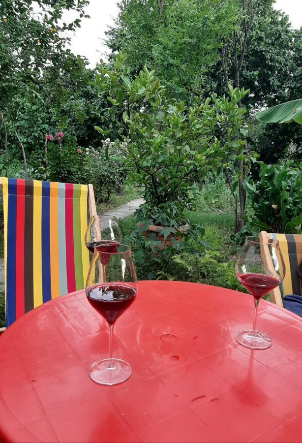 Cabernet Tali Otel Telavi Dış mekan fotoğraf