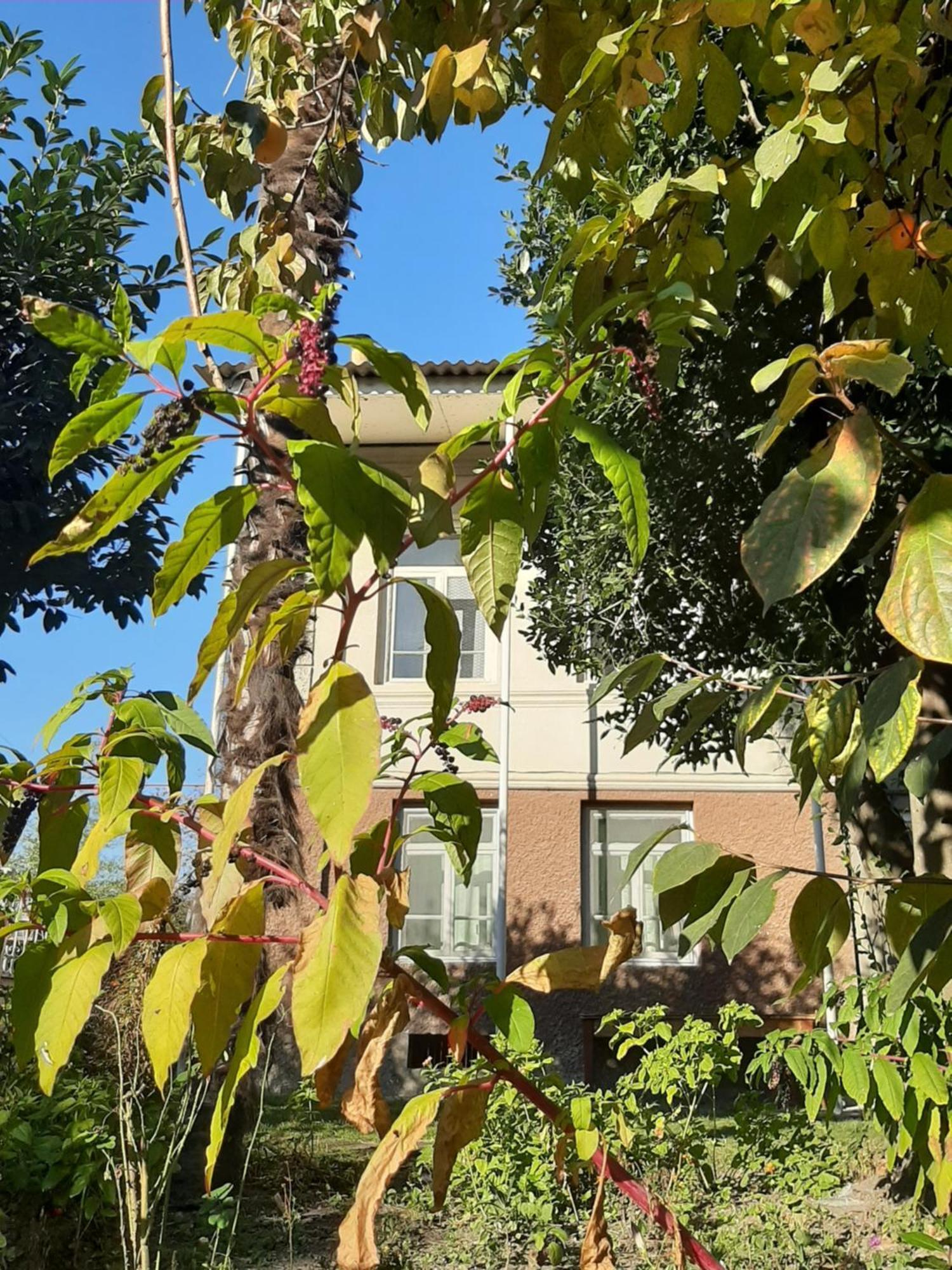 Cabernet Tali Otel Telavi Dış mekan fotoğraf