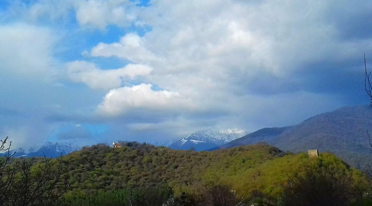 Cabernet Tali Otel Telavi Dış mekan fotoğraf